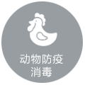 動物防疫消毒